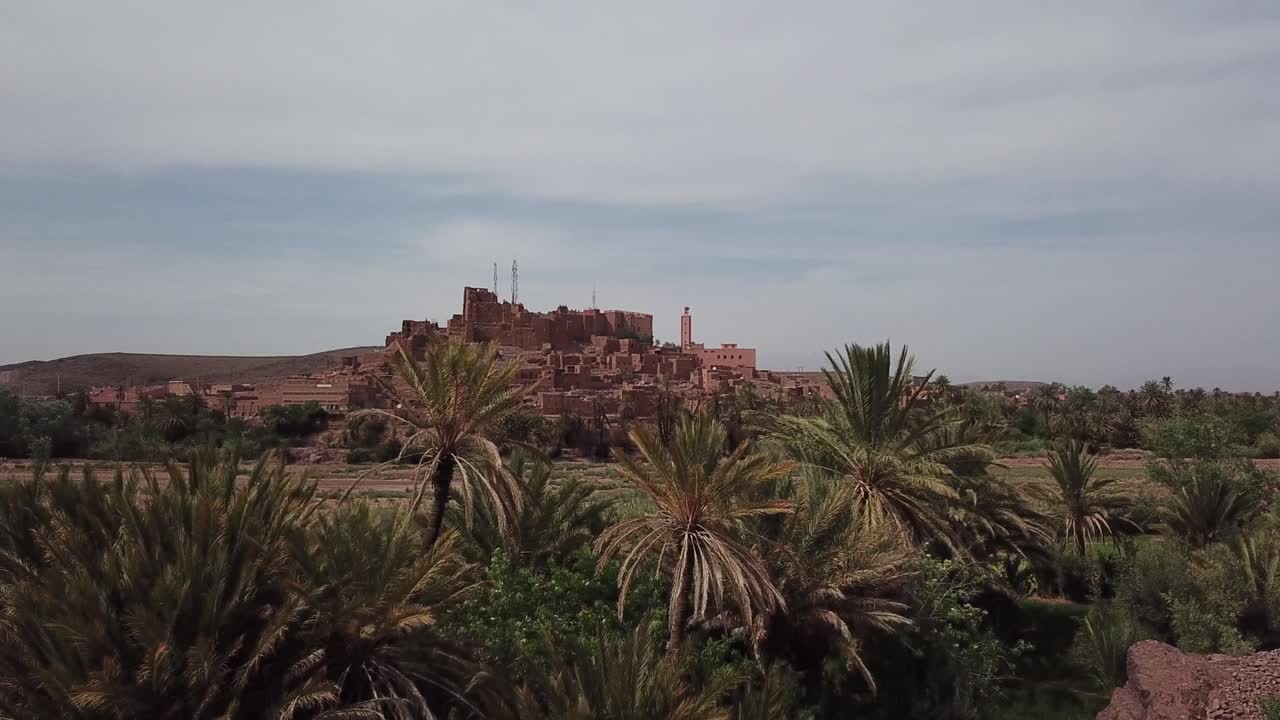 Plano estático de uma Kasbah tradicional em uma colina vista através de exuberantes palmeiras. A composição estável captura a atmosfera tranquila do oásis marroquino.