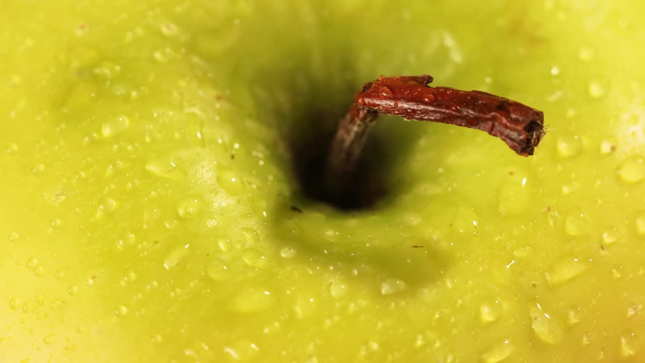 Detail shot of the top of a green apple with broken stem and waterdrops