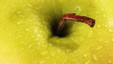 toma de detalle de la parte superior de una manzana verde con tallo roto y gotas de agua