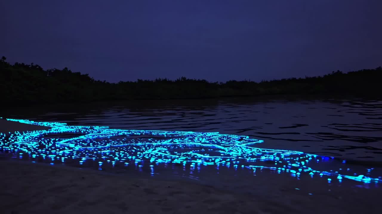 A mesmerizing video captures glowing blue bioluminescent waves at night