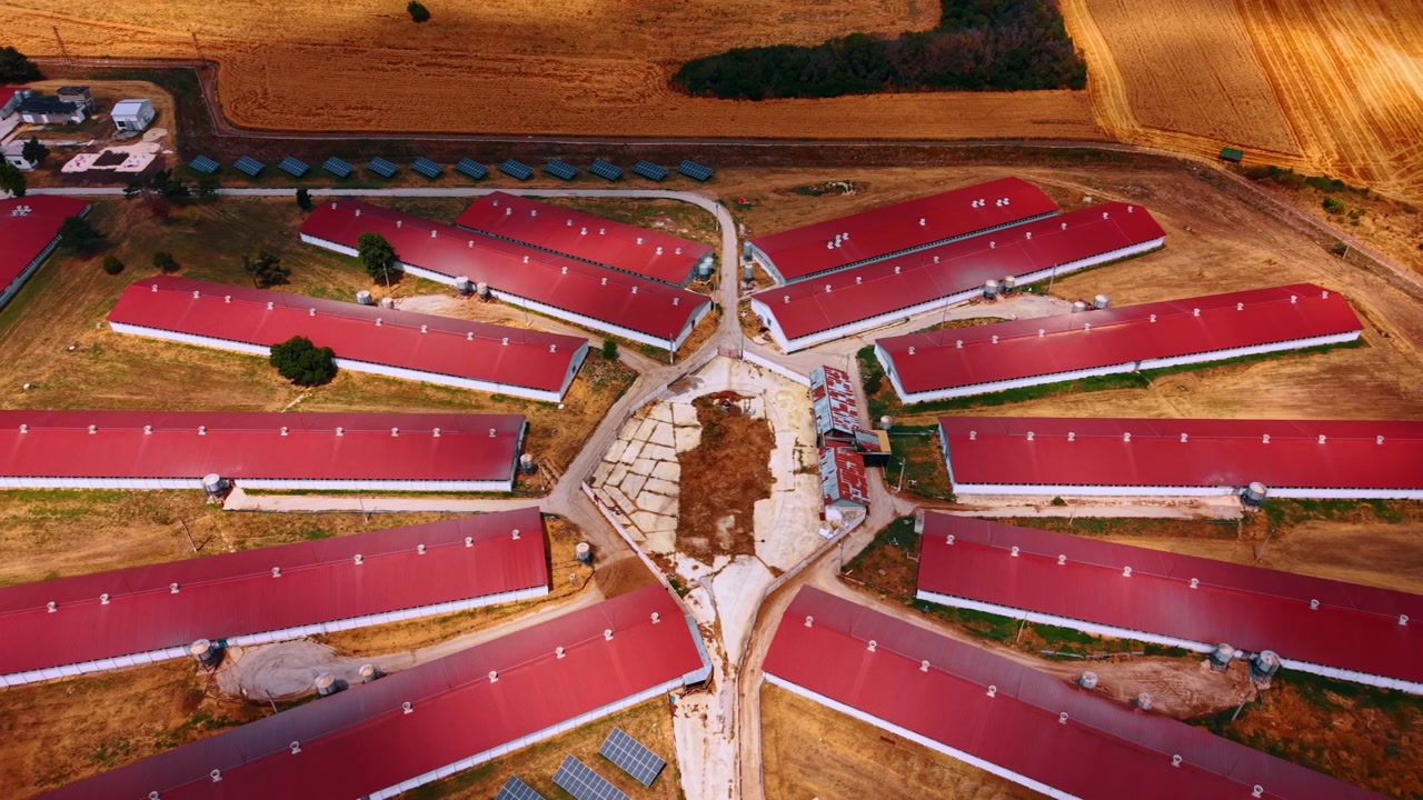 Aerial top view of radial agricultural farm layout. Long buildings with red roofs extend outward from a central point surrounded by fields.