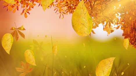 animation of leaves falling over autumn scenery