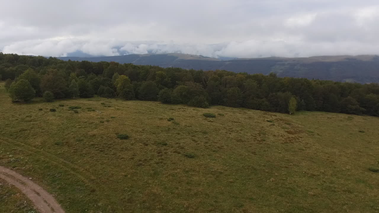 hermoso bosque y campo y camino de tierra en otoño