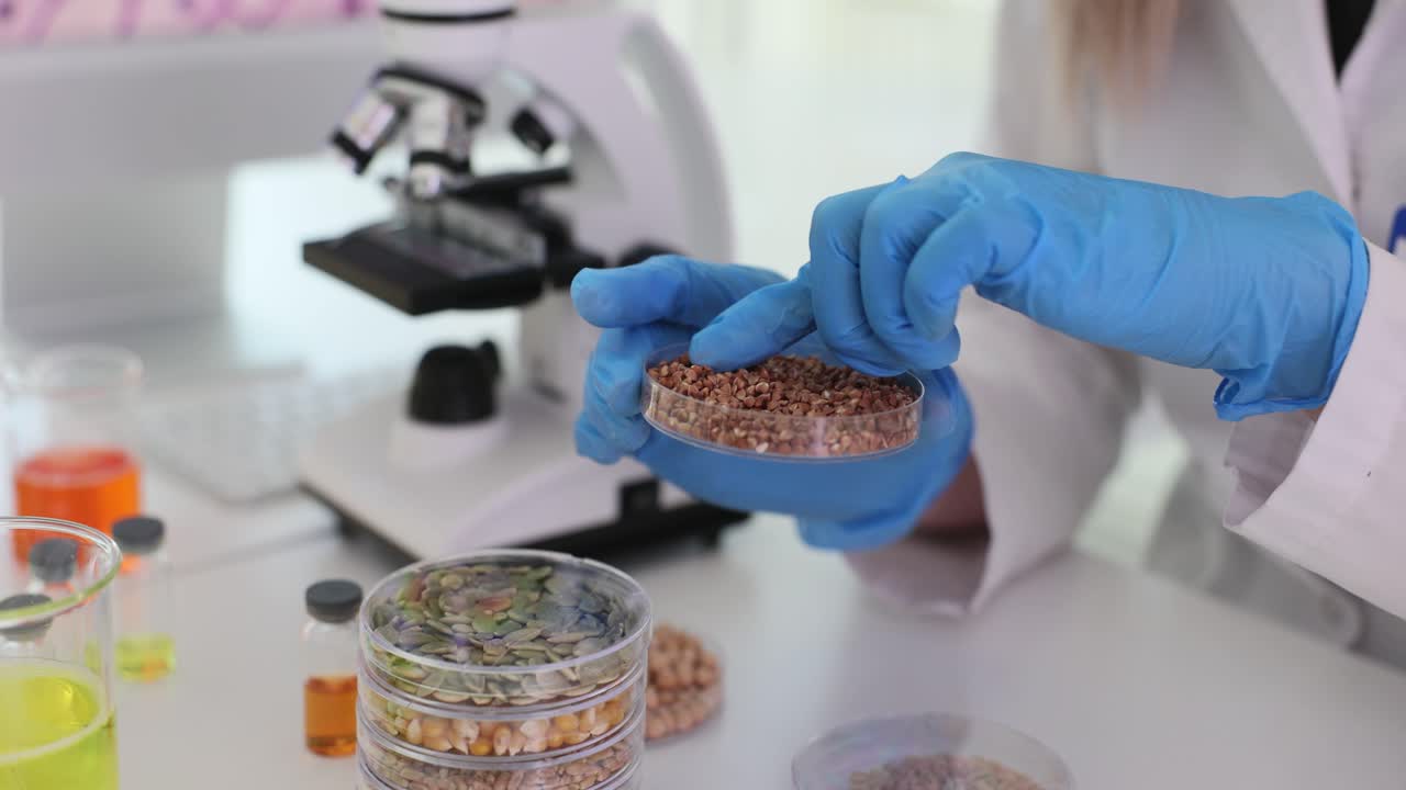 Scientist Examining Seeds in a Laboratory for Agricultural Research