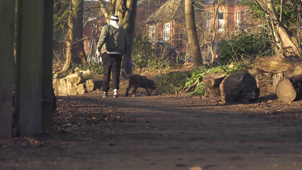 A man is walking with his dog in the golden hour