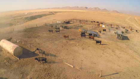 Una-Antena-De-Ganado-De-Corral-En-Un-Country-Desértico-Seco-1