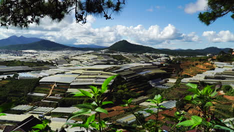 Terrassenfelder-Und-Gewächshäuser-Im-Landwirtschaftlichen-Gebiet-Da-Lat,-Vietnam