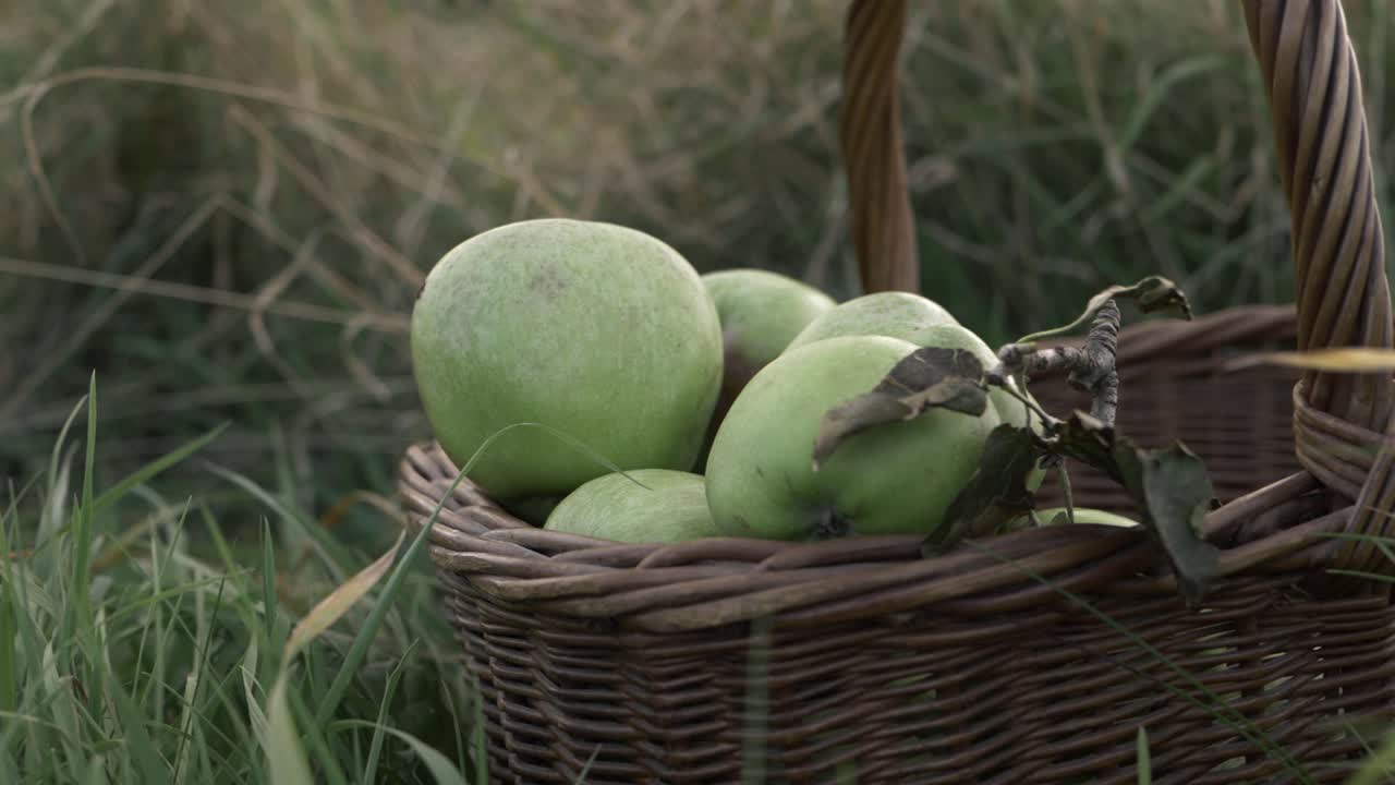 cesta de manzanas verdes maduras en la pradera toma panorámica de cerca
