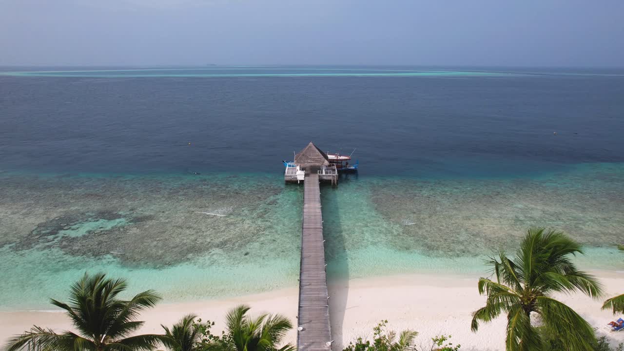 Paesaggio insulare delle Maldive, bellissime palme che conducono a una spiaggia di sabbia bianca