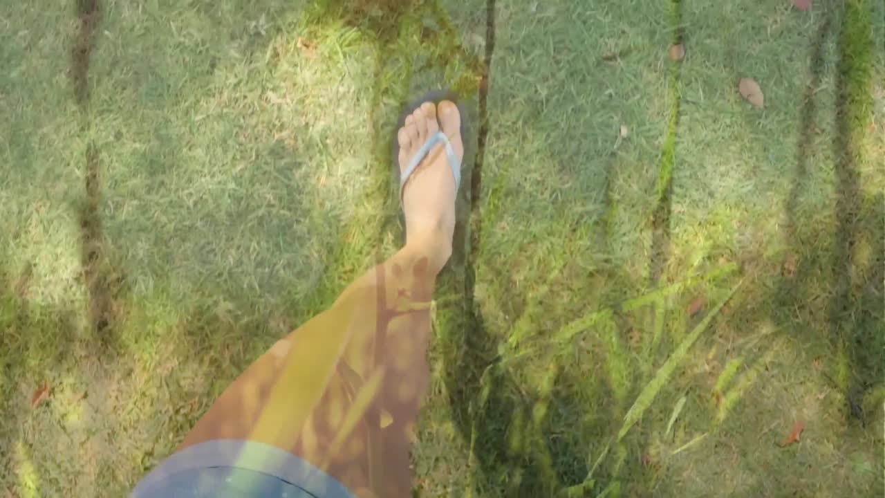 풀 위를  ⁇ 는 것