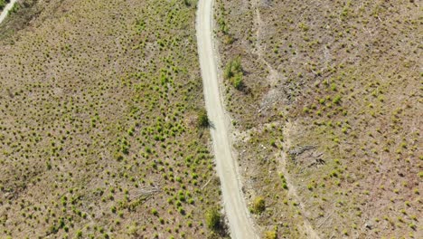 cortes en los bosques del noroeste del pacífico en columbia británica canadá