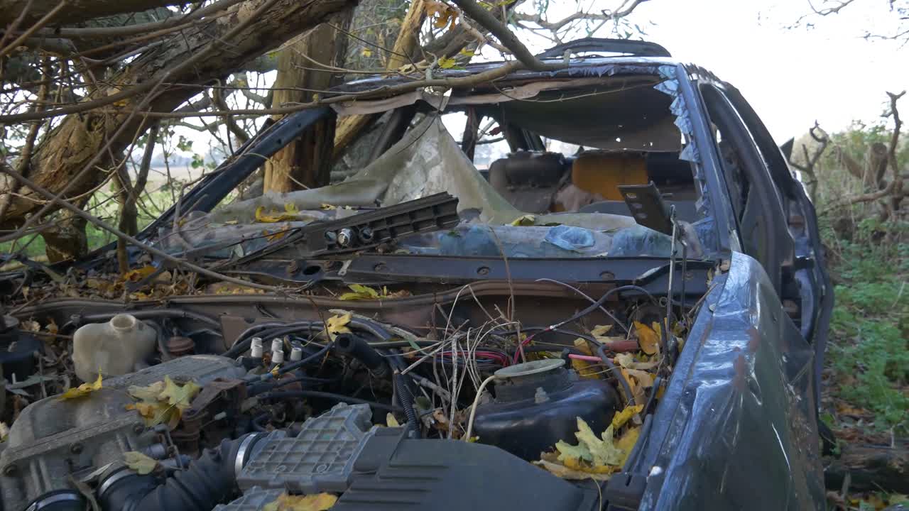 Crashed, scrapped and dismantled blue car polluting green London forest