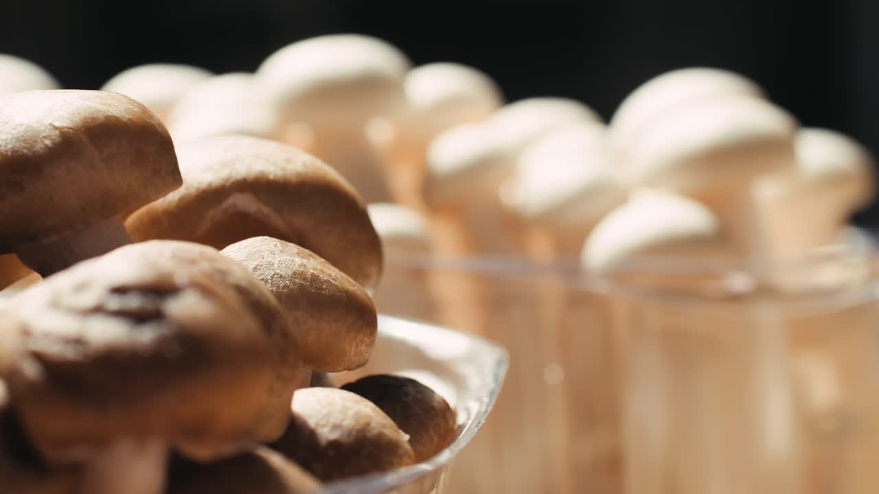 Fresh Brown and White Mushrooms