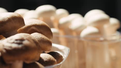 fresh brown and white mushrooms
