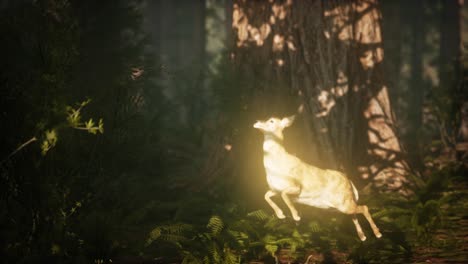 extreme-slow-motion-deer-jump-in-pine-forest