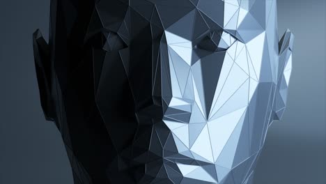cara poligonal abstracta