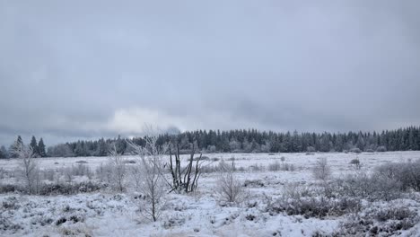 time lapse of a distant evergreen forest under massive grey clouds passing quickly