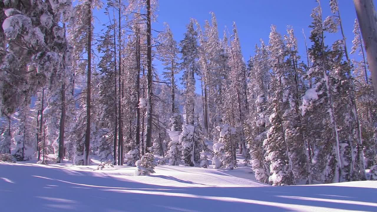 겨울의 아름다운 설경을 가로지르다