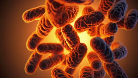 close-up of microscopic bacteria and microbes
