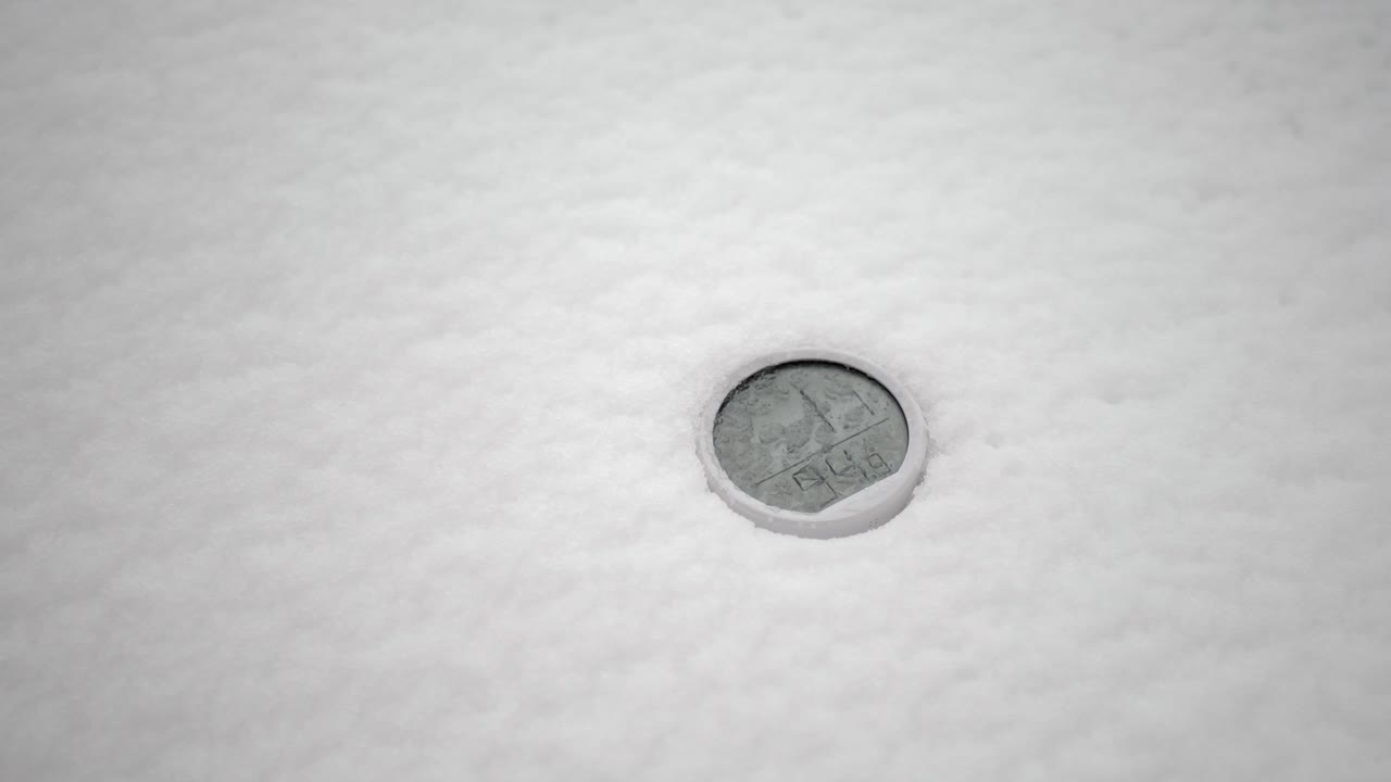 Termometro nella neve