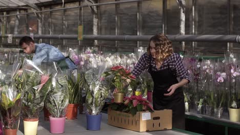 Two-young-farmers,-an-agronomist-or-a-florist---girl-in-a-plaid-work-shirt-and-both-in-aprons-are-arranging-green-plants-in-the-background-of-a-large-bright-greenhouse.-Industrial-cultivation-of-flowers-and-vegetables.-Slow-motion