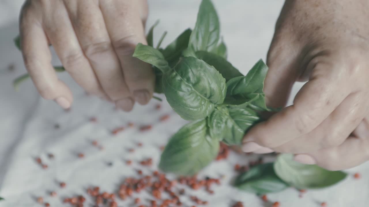 hacer el amor no me ama con una ramita de hojas de albahaca: una mano arranca hojas de una ramita de albahaca, en el fondo pimiento rojo y un mantel blanco