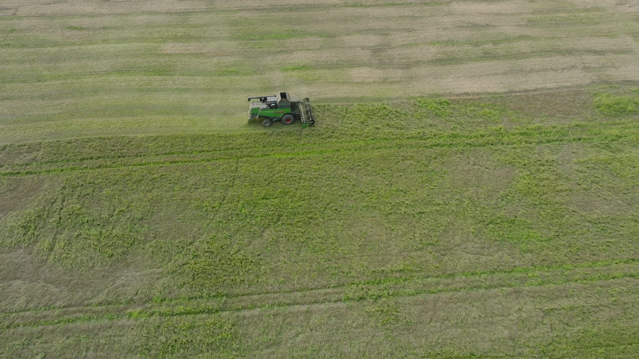 황색 밀을  ⁇ 는 수확기, 먼지 구름이 기계 뒤에서 상승, 식품 산업, 황색 수확 곡물 작물,  ⁇ 은 여름 날, 새 눈 드론  ⁇ 도  ⁇