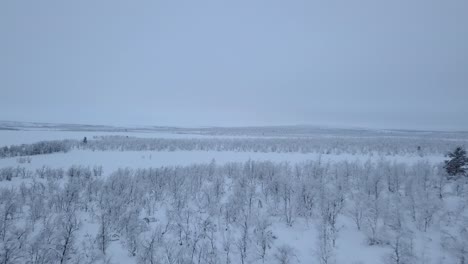 The-open-plains-during-winter-in-Norway,-near-the-Swedish-border