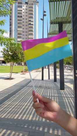 celebrating diversity with the pansexual flag