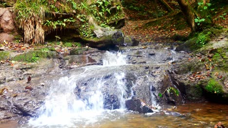 cold clear shallow waterfall cascading over autumn woodland rocks in countryside park forest
