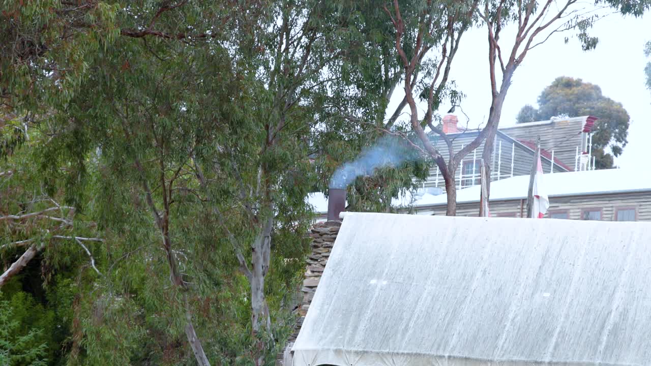 A serene suburban scene with smoke rising from a chimney, surrounded by trees and rooftops under soft daylight
