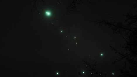 Amazing-and-colorful-fireworks-going-out-over-the-tree-branches-on-the-New-Years-eve