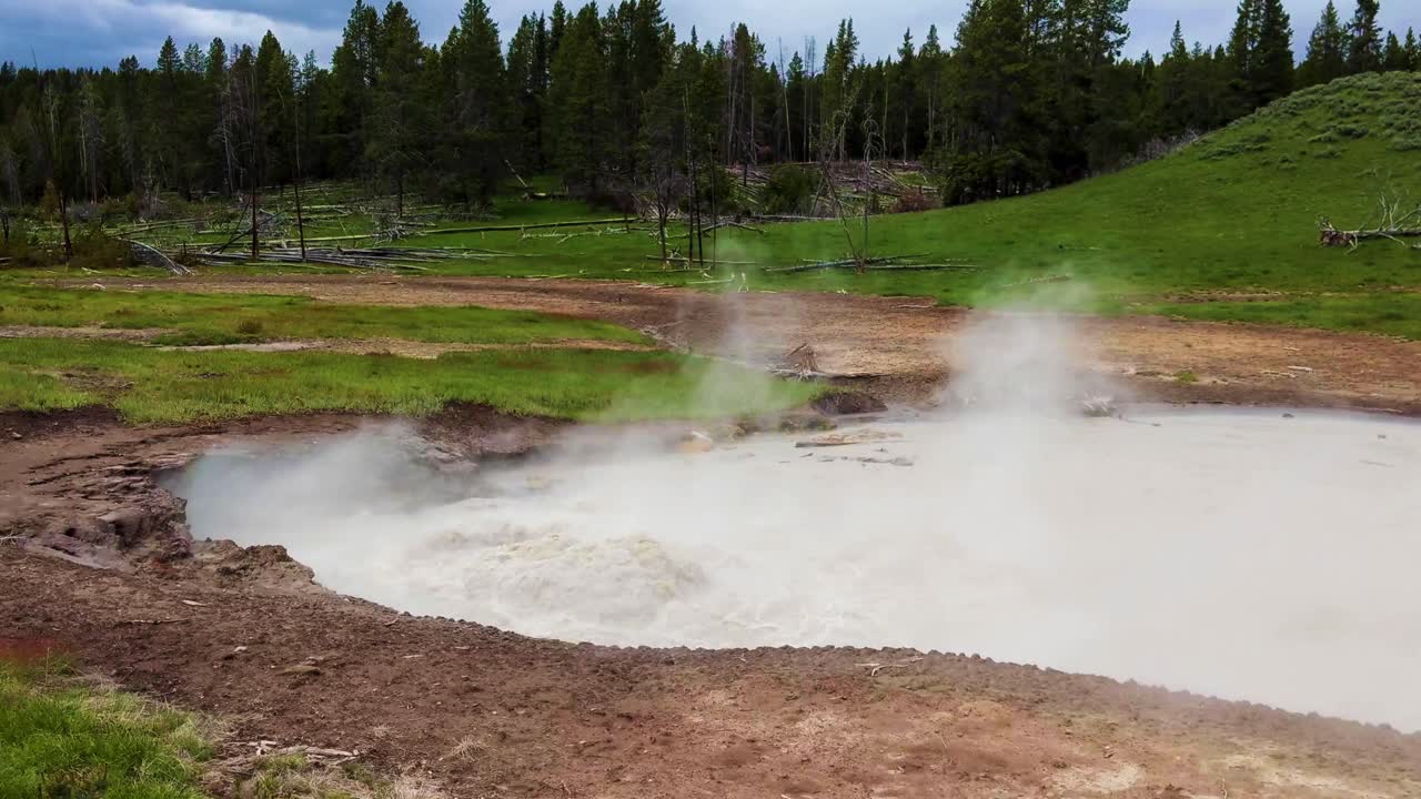 géiser de aguas termales burbujeante y humeante en un prado verde con pinos en el fondo, parque nacional de yellowstone, wyoming, ee.uu.