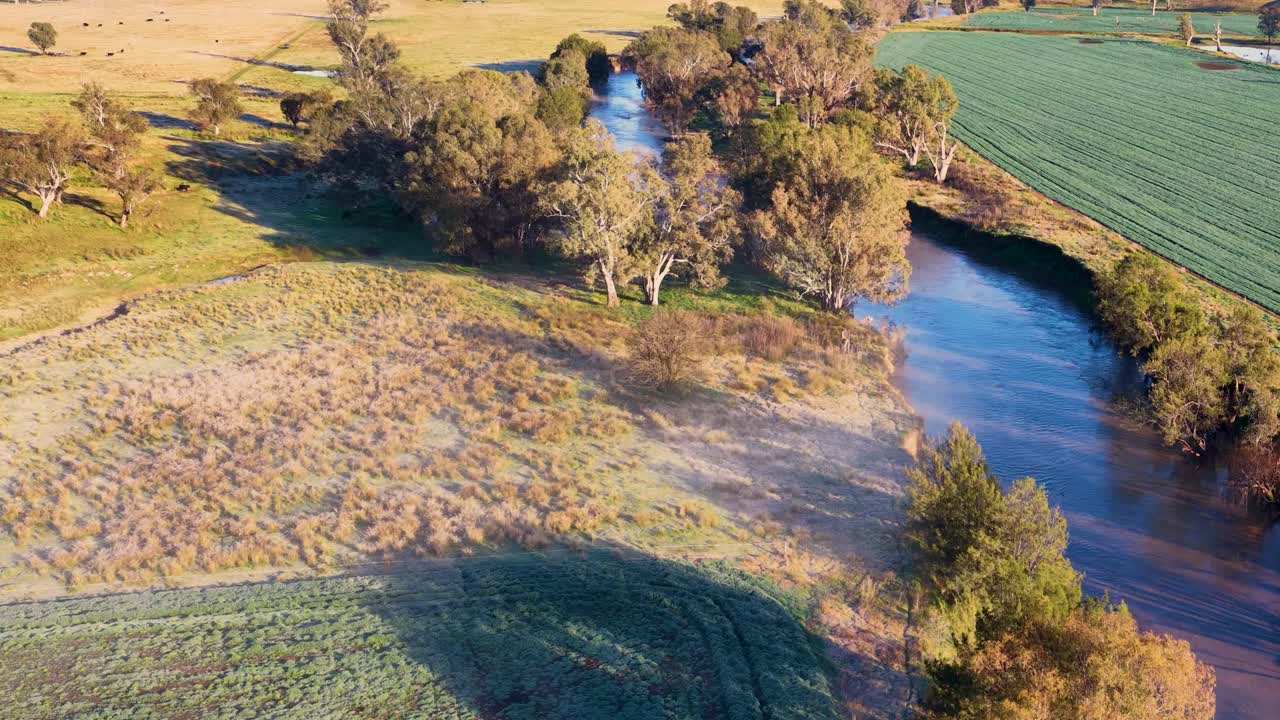 Drone footage glides above a foggy rural river bend bordered by fields and trees. Early morning sunlight casts long shadows, creating a tranquil, golden atmosphere