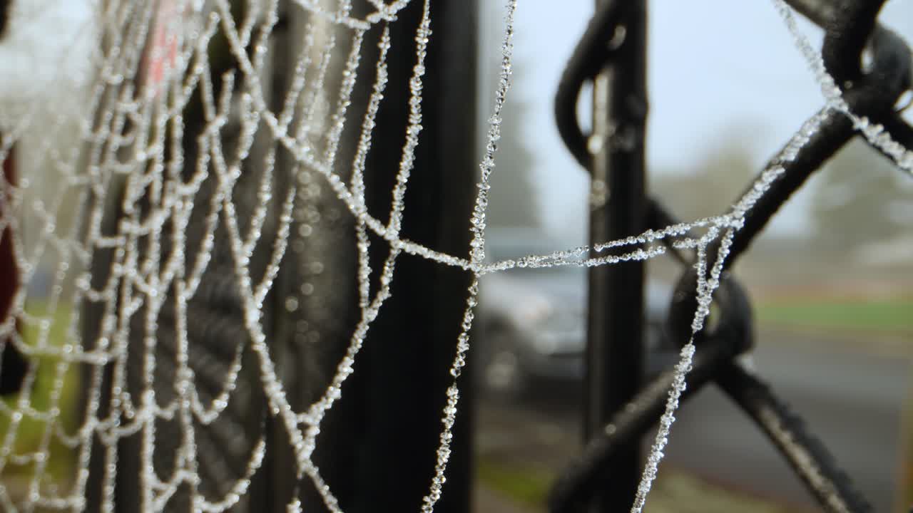 у входных ворот висит паутина, покрытая росой