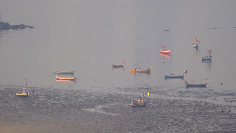 boat moving bandra worli mumbai india local fishing boat traveling in sea sea fisherman indian koliwada