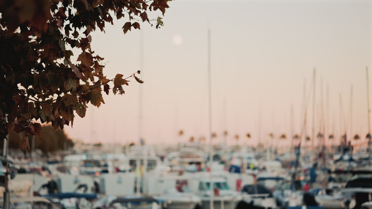 Branch of autumn leaves in the foreground frames a marina full of boats and masts at sunset, with the moon rising in a pastel sky