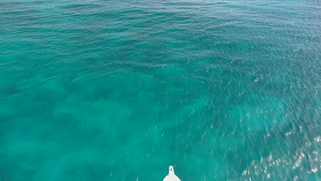 Aerial-forward-over-tourist-speedboat-navigating-on-turquoise-sea-water