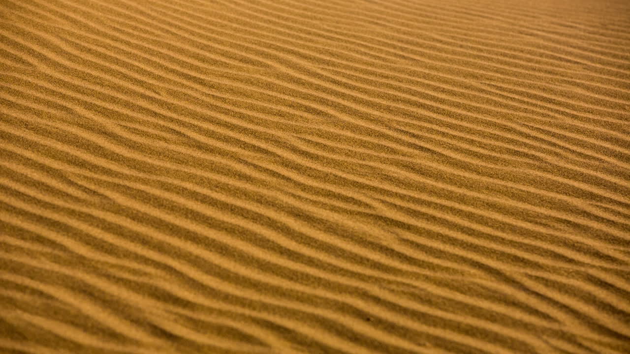 мерзуга видео 19