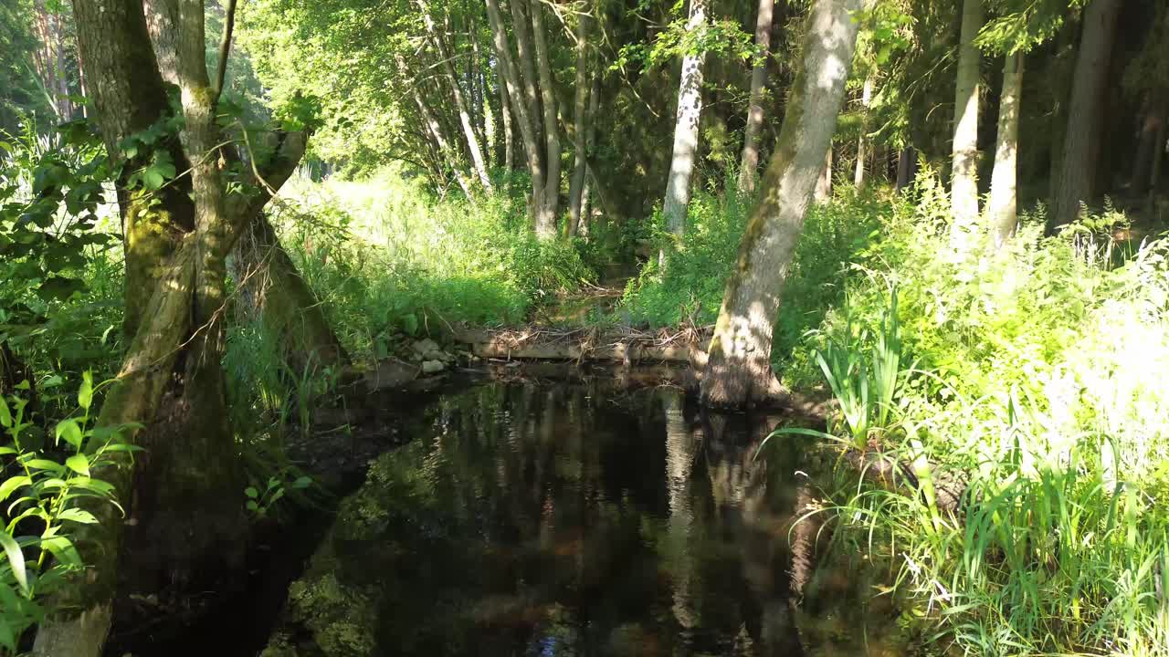 조용한 호수, 울창한 숲, 우아한 다리, 그리고 거리는 하천 위를 날아다니며 하늘에서 매혹적인 전망을 제공합니다.
