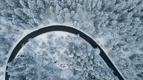 car traveling on road in snowy, winter tree forest