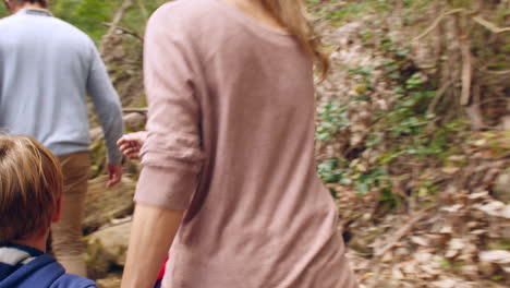 familia con niños pequeños caminando a través de un bosque, vista trasera