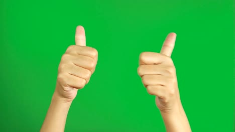 4k. woman hands showing two thumbs up and pointing on copy space isolated on chroma key green screen background