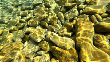 underwater in adriatic sea on dugi otok island, croatia