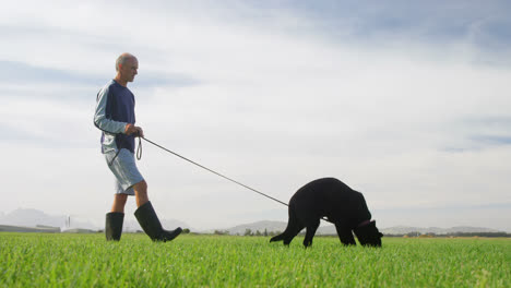 Schäferhund-Geht-Mit-Seinem-Besitzer-Auf-Dem-Bauernhof-Spazieren-4k