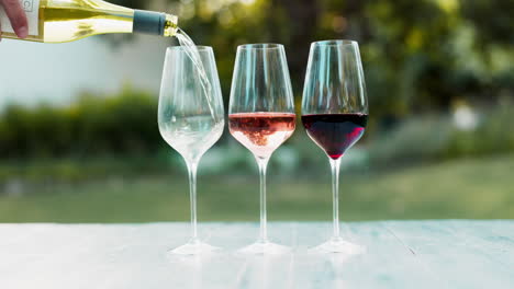 degustación de vino en el jardín
