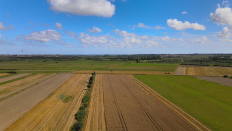 tierras de cultivo polacas rurales