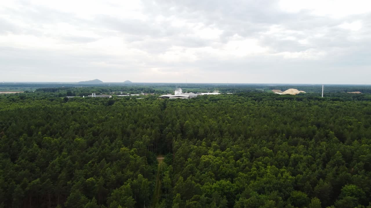 Massive forest area and industrial buildings in horizon, aerial view