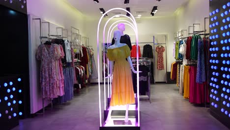 female shopping clothing store interior