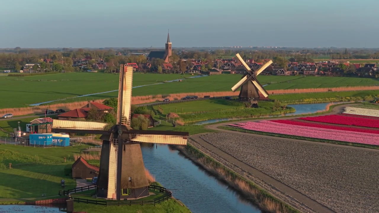 Vista aérea de moinhos de vento históricos com pás giratórias ao pôr do sol. Famosa paisagem holandesa com campos de tulipas vibrantes e um canal na primavera.